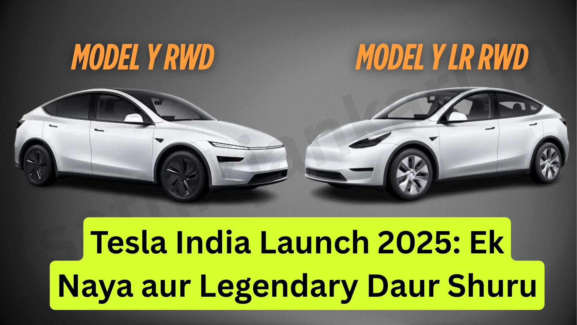 Tesla India Launch